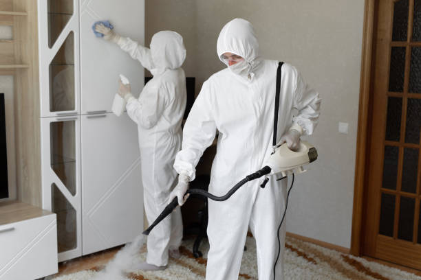 Best Professional Mold Removal  in Ckam Housing, HI