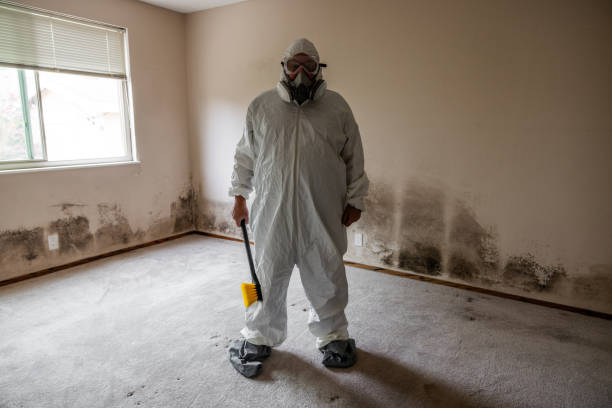 Professional Mold Removal in Hickam Housing, HI