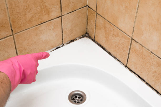 Best Home Mold Removal  in Ckam Housing, HI